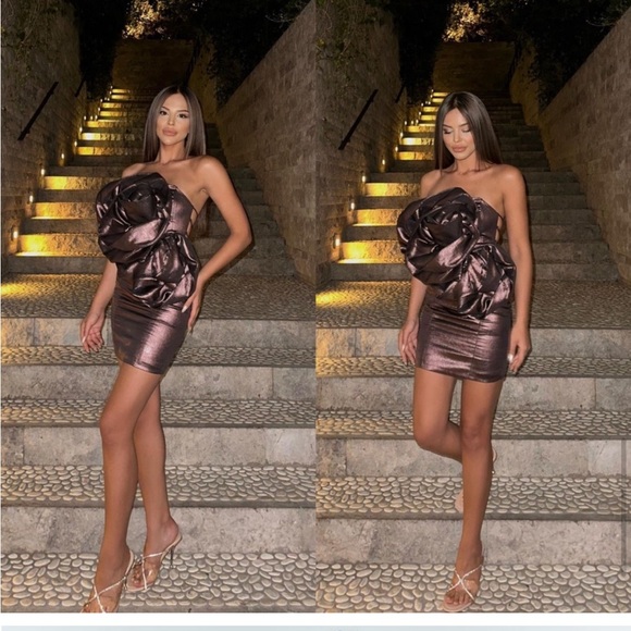 NWT Zara Voluminous Flower Rosette Bronze Brown Metallic Holiday Dress Medium - Picture 2 of 9